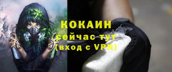 амф Белоозёрский