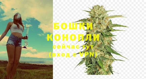 амф Белоозёрский