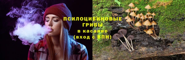 амф Белоозёрский