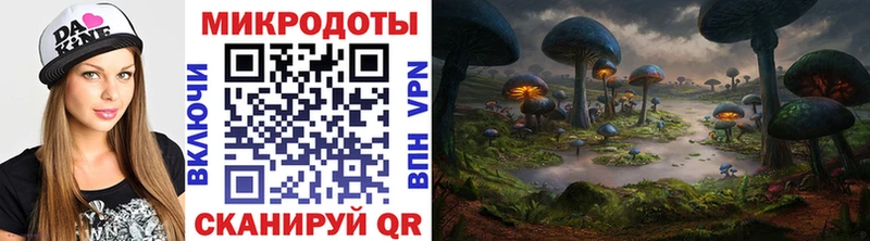 Псилоцибиновые грибы Cubensis  Короча 